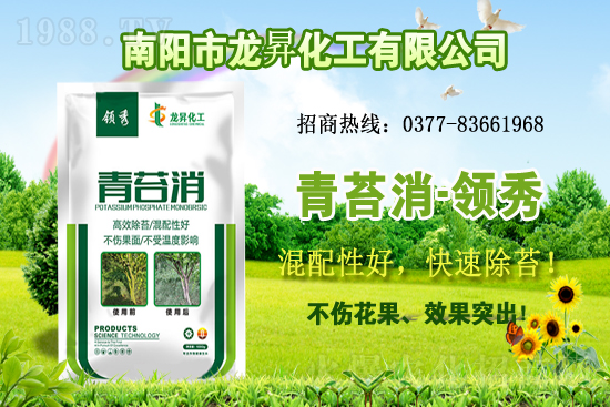 �󶹹�����(y��ng)�����r(ji��)����m(x��)�ϝq�����ش󶹃r(ji��)������