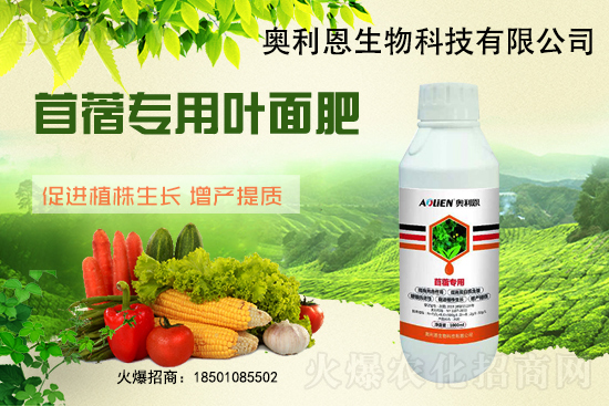 ��ޣԽ������ôʩ����ޣ��ʩ�ʹ���