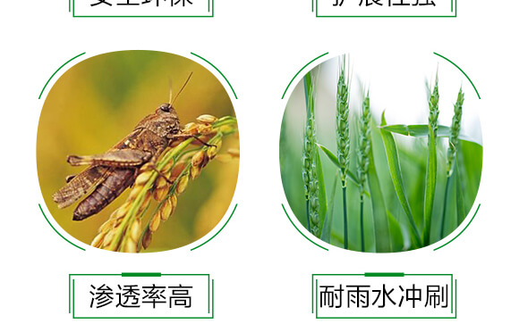 �r(n��ng)���ЙC(j��)������-��չ��ƿ�b��-���r(n��ng)˹�_(d��)_06