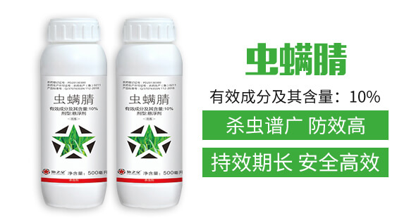 10%�x����-��֮��_02