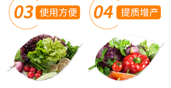 ��Ȼ�ЙC(j��)��ጵ���-���ܵ�-�t��(l��)_07