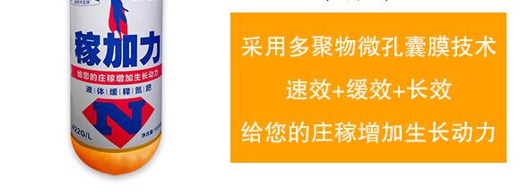 ����طNҺ��-�ڼ���-��˹��_04