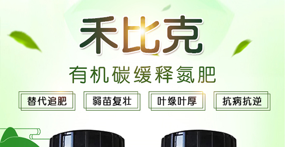 ��������-���R�S_01