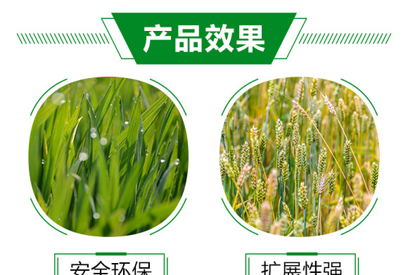 �r(n��ng)���ЙC(j��)������-��չ��ƿ�b��-���r(n��ng)˹�_(d��)_05