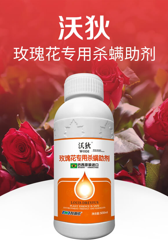 õ�廨���Ú�������-�ֵ�-�����r(n��ng)_01