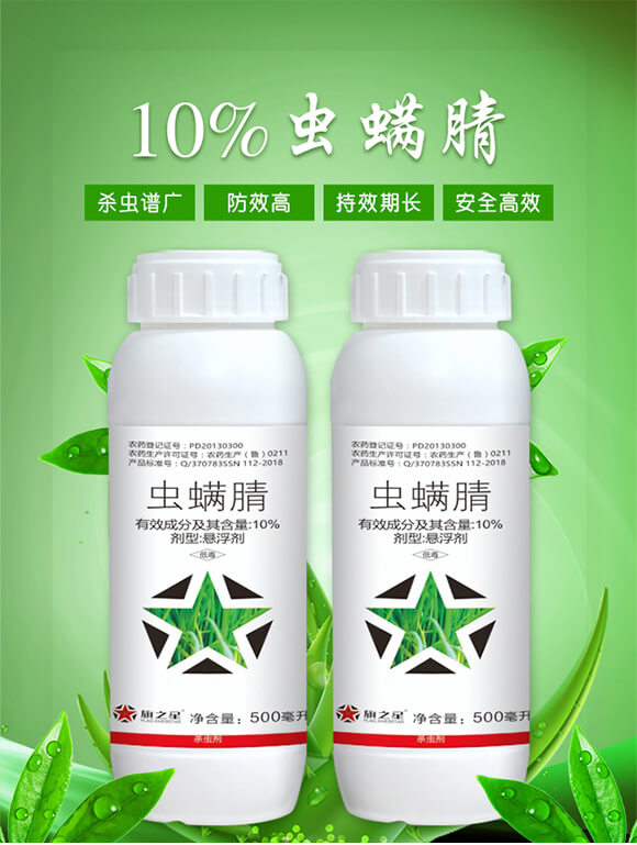 10%�x����-��֮��_01