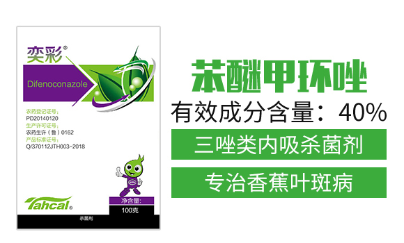 40%���Ѽ׭h(hu��n)��100�ˣ�-�Ȳ�-̩�̻���_02