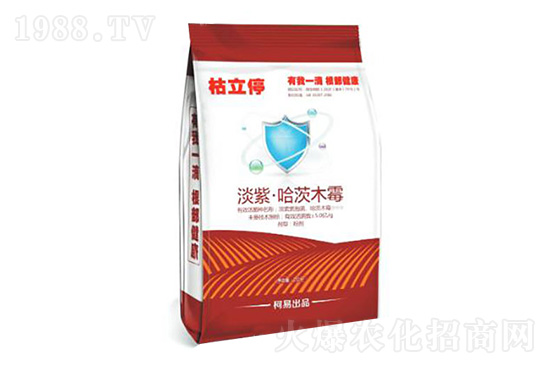 2020.11.24��ͪ˪���蚢�����r��