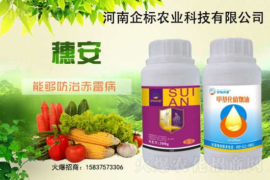 С����ù��Σ�����c(di��n)������С����ù����ʲôˎ��