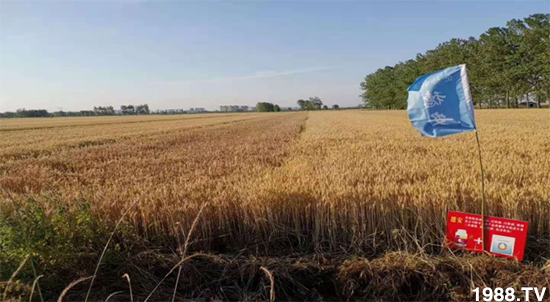 С����ù��Σ�����c(di��n)������С����ù����ʲôˎ��