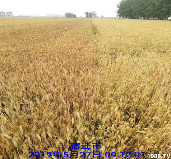 С����ù��Σ�����c(di��n)������С����ù����ʲôˎ��