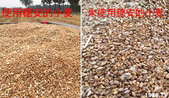 С����ù��Σ�����c(di��n)������С����ù����ʲôˎ��