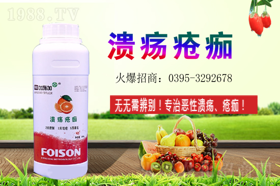 2021��ʯ��Nֲ���������ʯ�������ǰ����ô�ӣ�