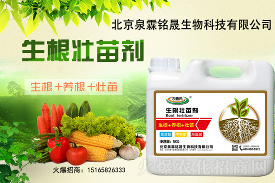 һ���y����2020-11-25�|�����ϝqѸ��