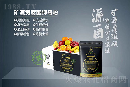 ʲô���߲��亦�����������￹��������