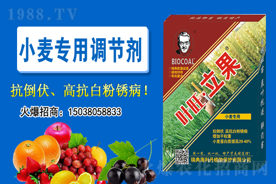 С���r��������ϝq��2020-11-26С���r������