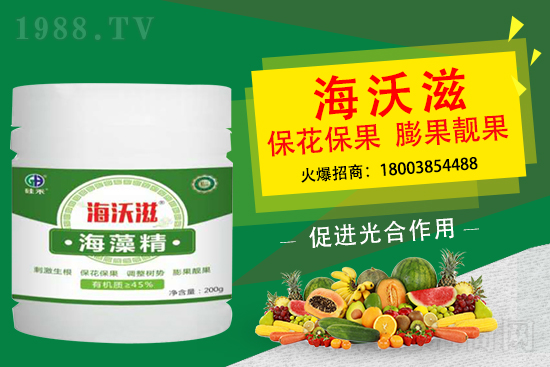 ��ɲ�ݮ��С��ʲô��������ô���M��ݮ�������