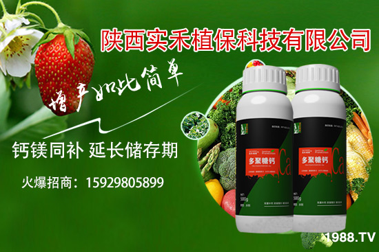 ���t�����~��ʲôԭ�������t�����~���δ�ʩ����Щ��