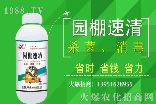 2020��11��5�վֲ������r������