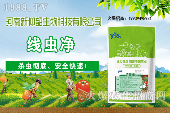 ����ֲ��ԓ��ô��ˮ������ֲ�ˮҪע����Щ���}�أ�