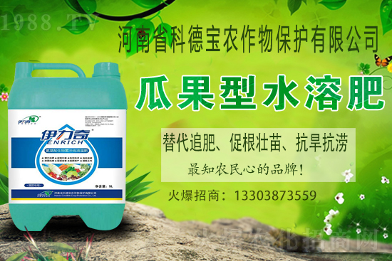 �����M��Ě��ʲô�r(sh��)��������У�������x�M��Ě����