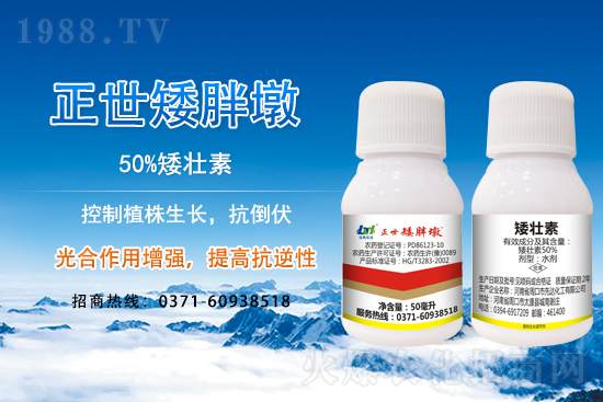 С����ǰ���L(zh��ng)��ʲôΣ������ȡʲô��ʩ����Ч��ͽ�L(zh��ng)��