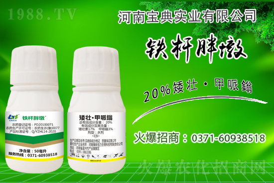 С����ǰ���L(zh��ng)��ʲôΣ������ȡʲô��ʩ����Ч��ͽ�L(zh��ng)��