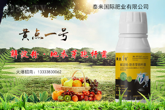 �S���~Ƭ��С�S�c(di��n)����ʲô�������η�������Щ��