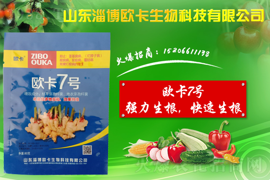 �󽪠����Ӳ���ʲô�����󽪠����Ӳ���ʲôˎ�÷���