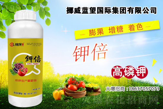 ���t����ɫ�����쿴�ǲ����@Щԭ�������t����ɫ��ʩ