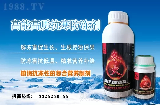 �紺�²����ʩ�ʣ��²�ʩ�ʷ�����ע�������