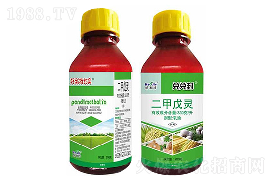 �����ײݰ����݄��r(ji��)��12.15��