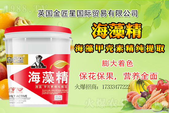 С���r��߀�����F(xi��n)��q����С�����鿂�Y��