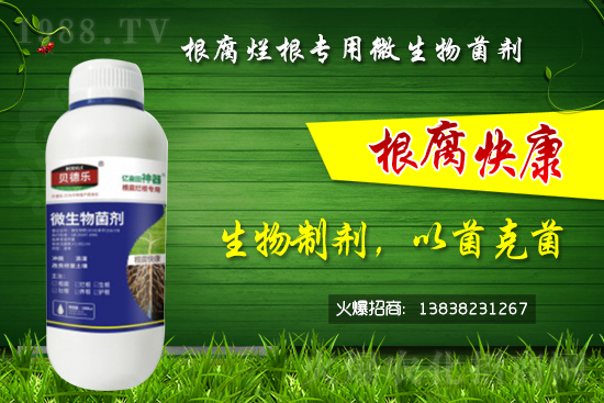 ΢������������θ�����������ô�x��