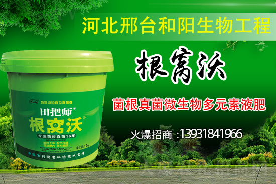 ��Щ��������������������ȡʲô��ʩ���Է�����