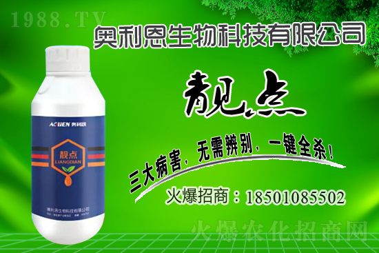 �������ؚ������r��2020��12��17��