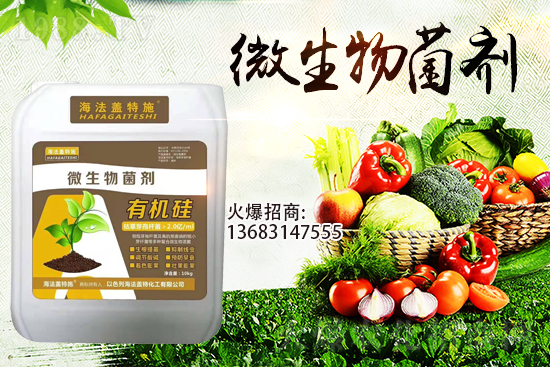 �������u��������m(x��)�͜�����������Ҫ�c(di��n)��