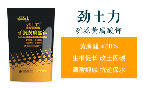 �VԴ�S�����-������-�A�S����_02