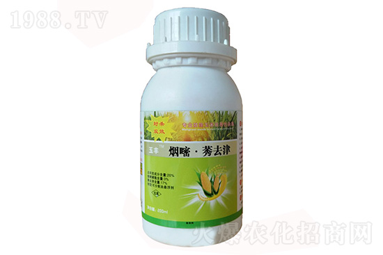 ����ݬȥ��