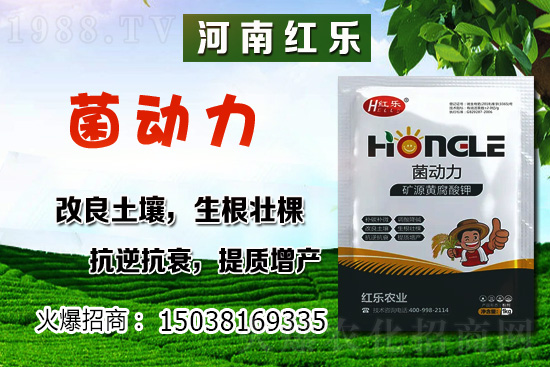 12�·��ܷNʲô�߲ˣ������߲˷Nֲ����Щ������