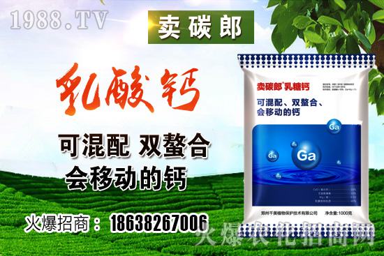 ���������^��С���r�����w��λڅ��(w��n)��