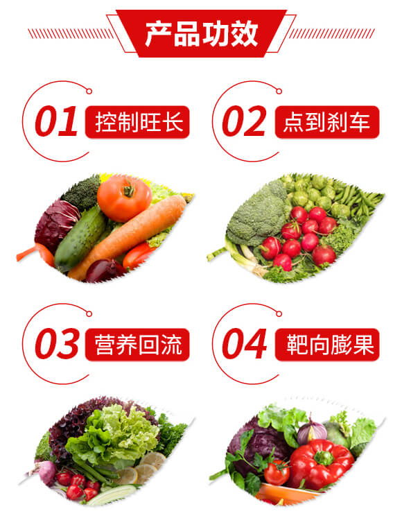 �����T(m��n)�������(f��)�����Ƅ�-�ƿ�-���u֮��_03