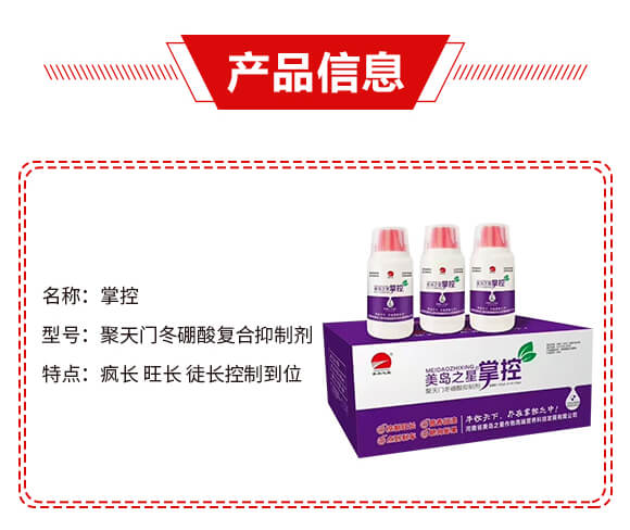 �����T(m��n)�������(f��)�����Ƅ�-�ƿ�-���u֮��_02