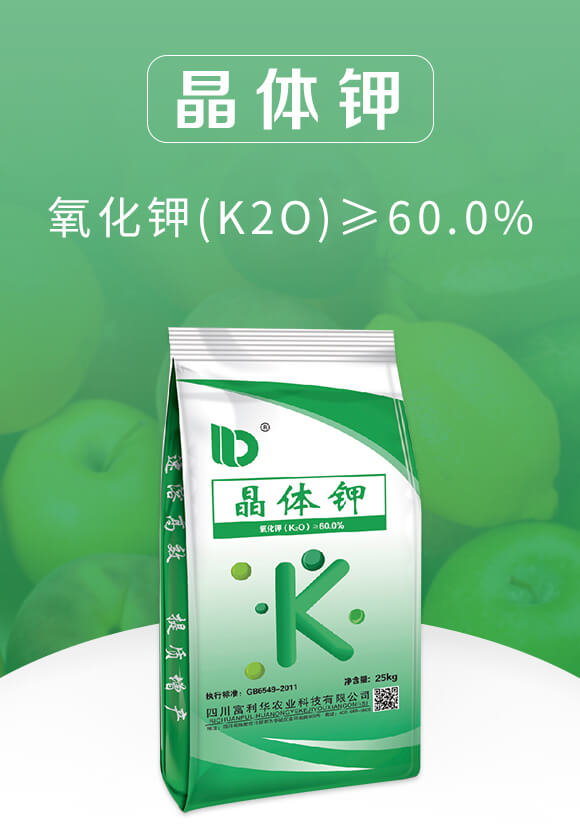 ���w⛣�25kg��-�����A_01