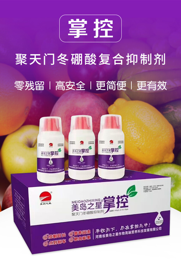 �����T(m��n)�������(f��)�����Ƅ�-�ƿ�-���u֮��_01