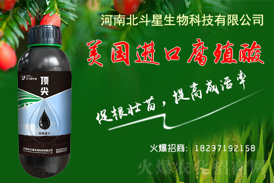 �ؗ͜l����������Nֲ��������������B(y��ng)�����o(h��)��