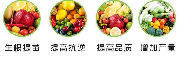 養(yǎng)根促根型有機水溶肥料-一畫農(nóng)業(yè)_06