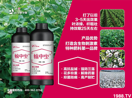 �طN�ʞ�ʲô�@ô������ʲô���c֮̎��