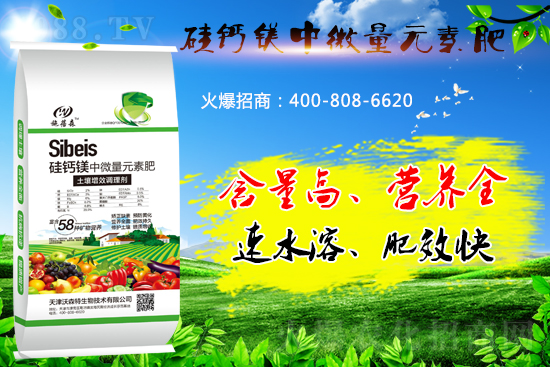 ���}�VԪ�ط����˽��������̎����Щ��