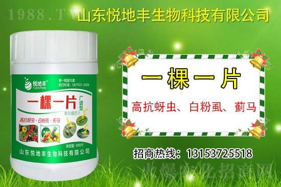 �߿����x���׷�ʭ���E�R��ʲô����һ�x������